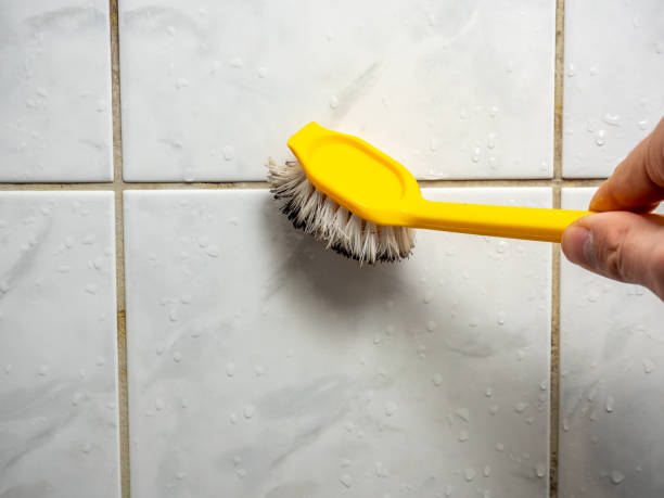 Best Mold Testing and Removal  in Goldendale, WA