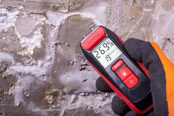 Best Office Mold Removal Services  in Goldendale, WA