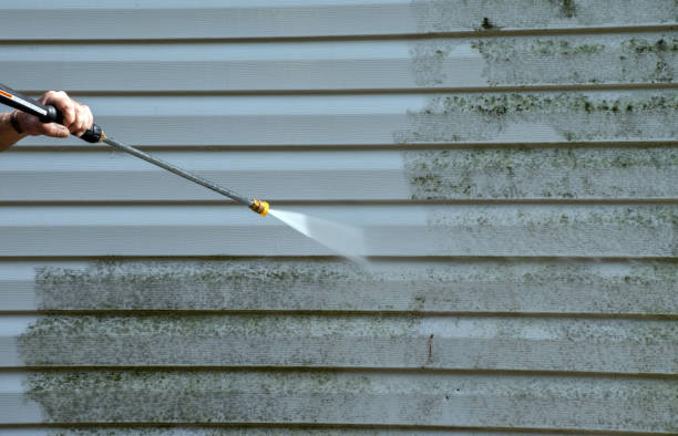 Best Black Mold Removal  in Goldendale, WA