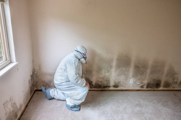 Best Mold Testing  in Goldendale, WA